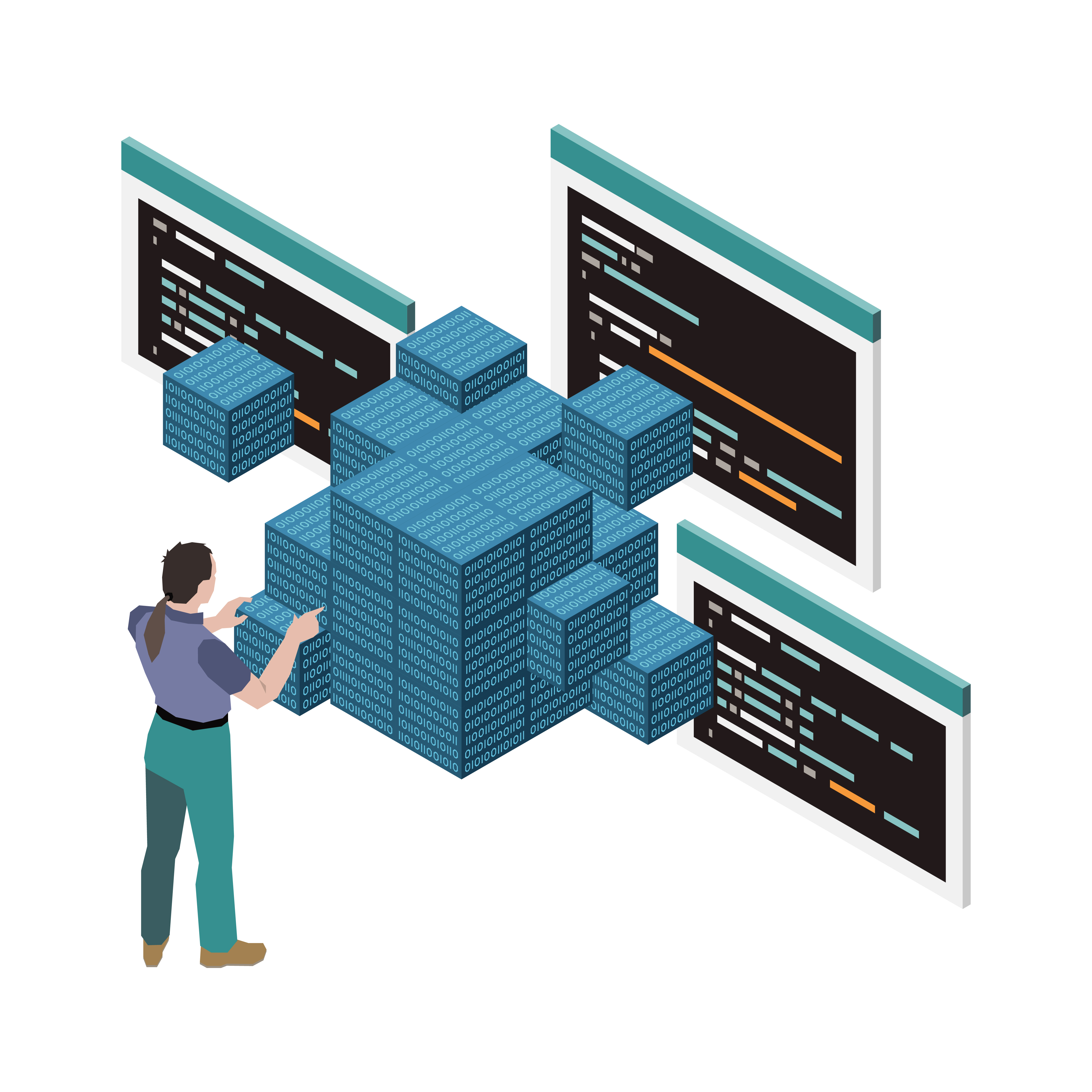 Enterprise Software Development